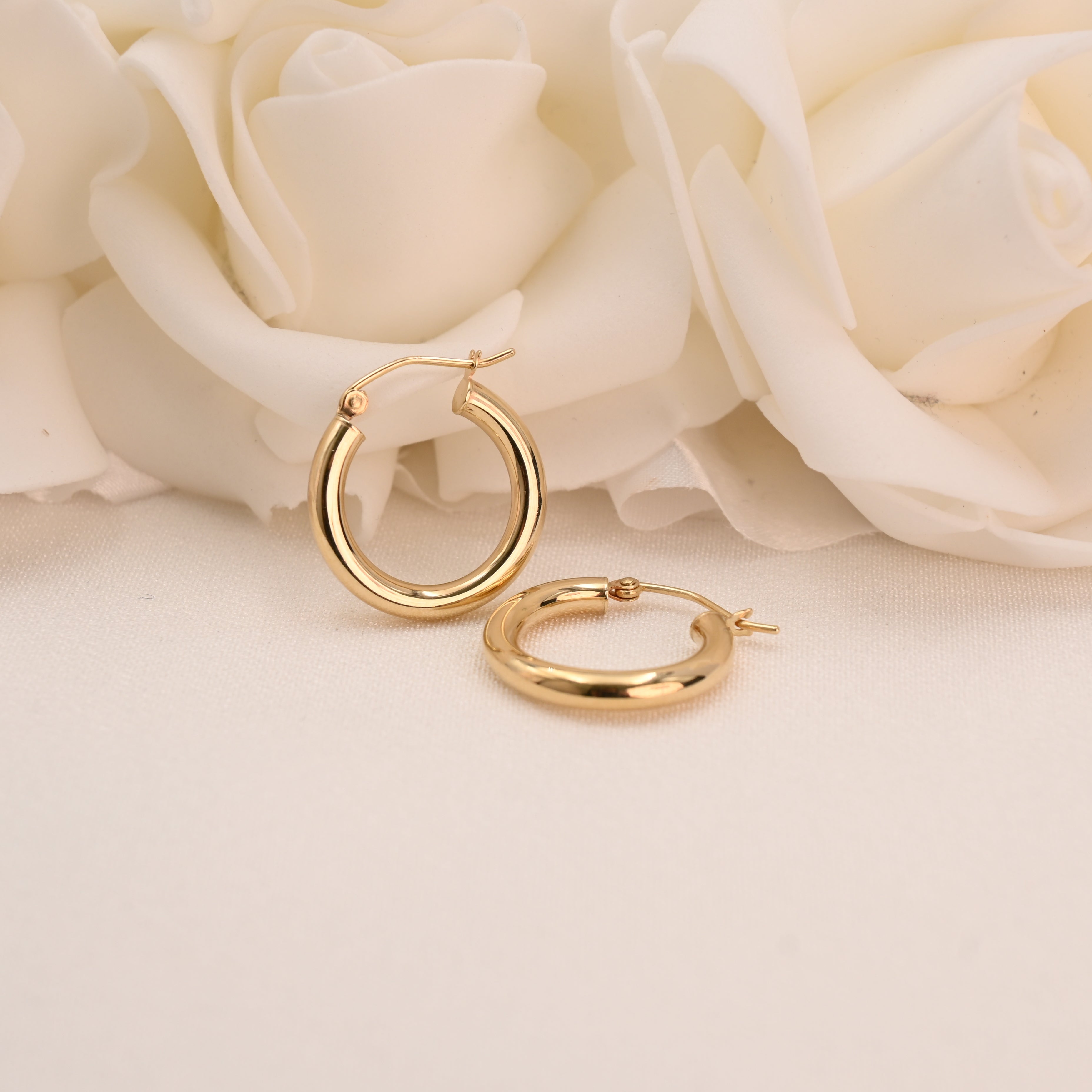Gold hoop earrings on a white rose background