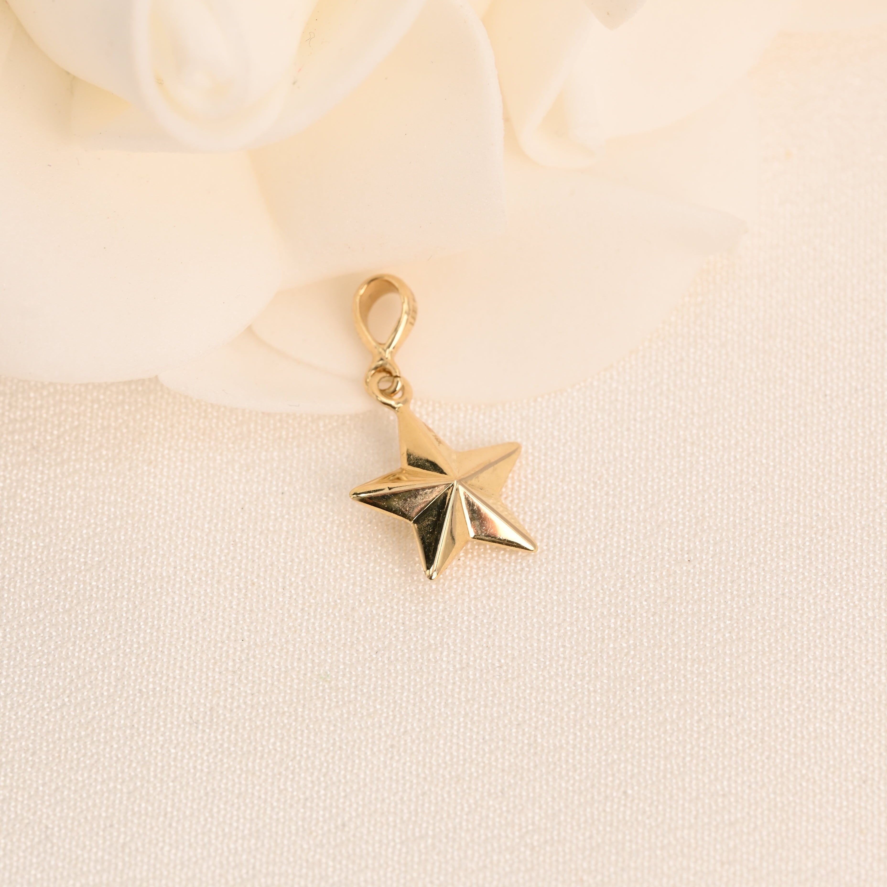 14K Polished Star Pendant