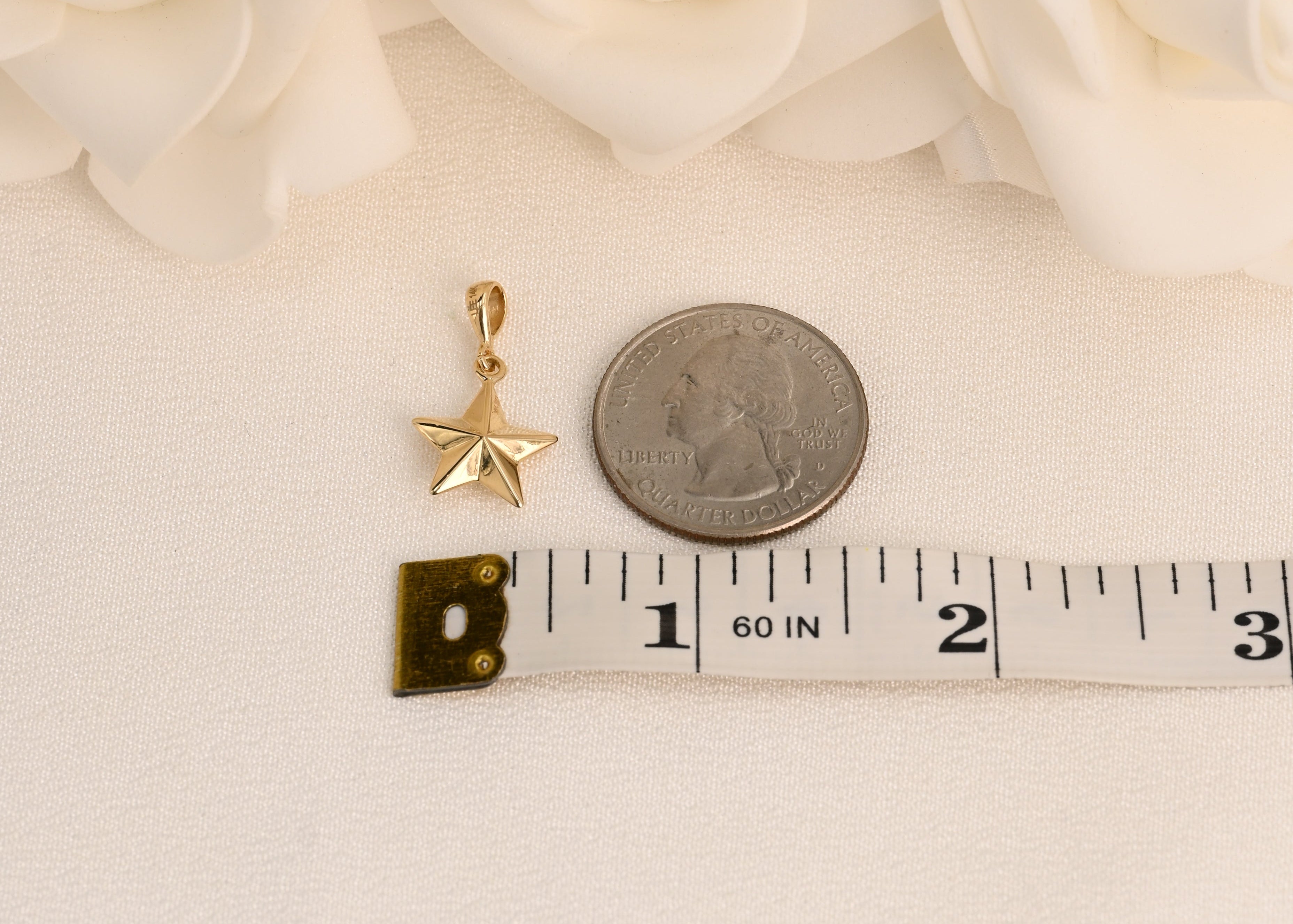 14K Polished Star Pendant