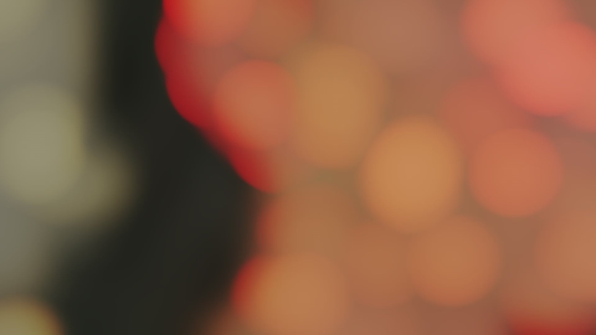 14k Bamboo Hoop Earrings - 16MM & 21MM & 34MM